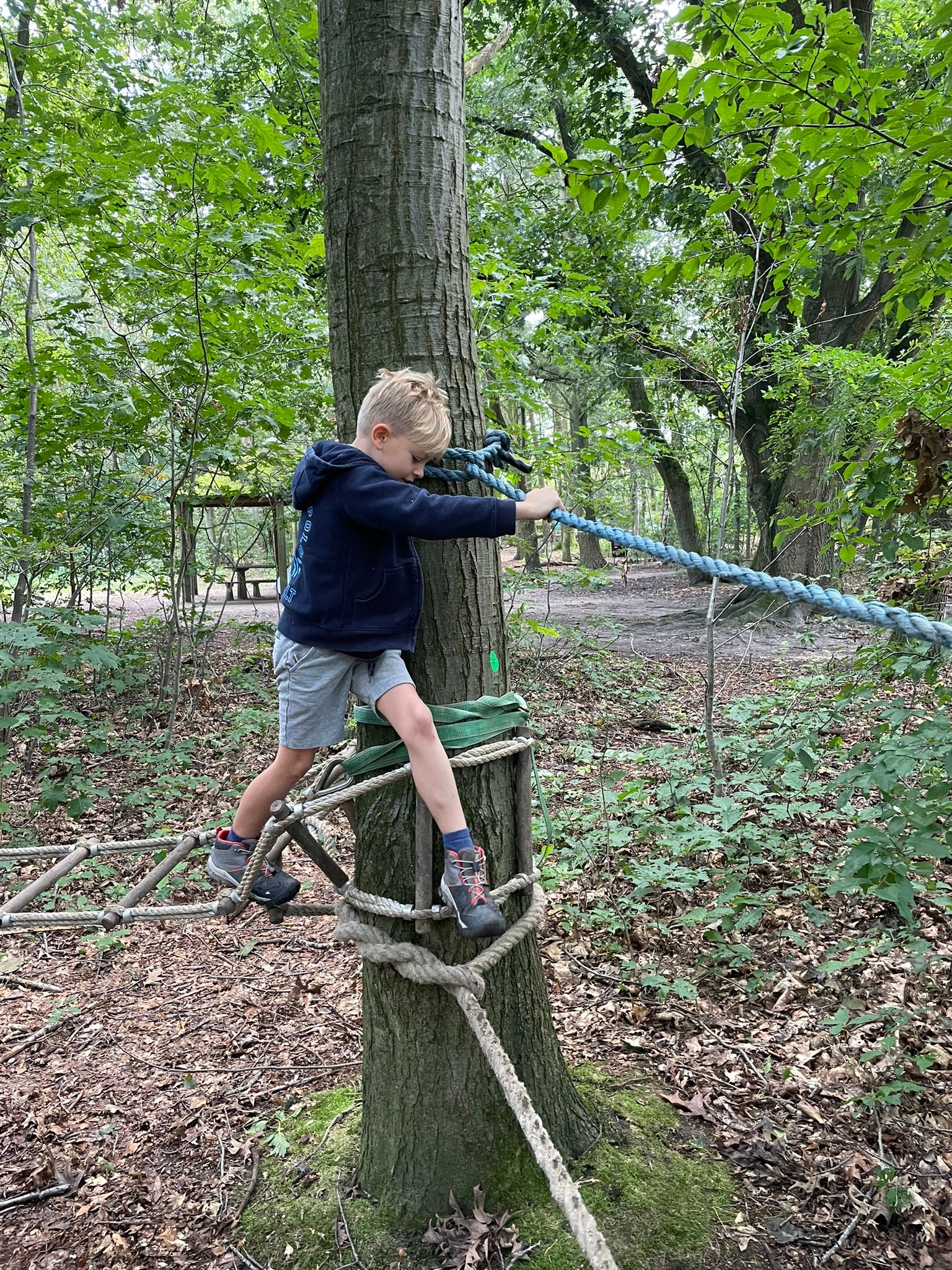 Sint-Martinus den XIIde - Opening 2024